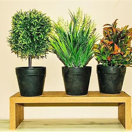 شقة Smart Travellers سالونيك